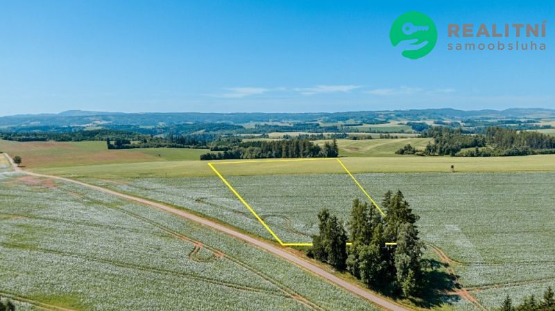 Prodej pole 40000 m²
