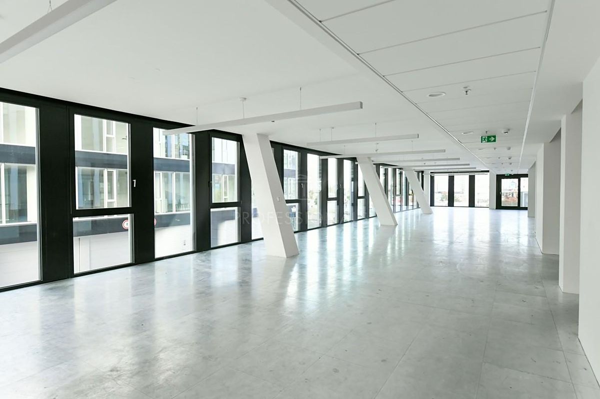 Pronájem obchodního prostoru 216 m² – fotografie 2