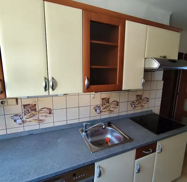 Prodej bytu 2+1 55 m², Rudník – náhled fotky 3