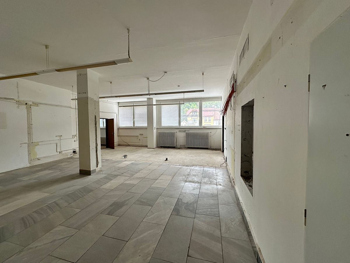 Pronájem komerční nemovitosti 230 m² – fotografie 4