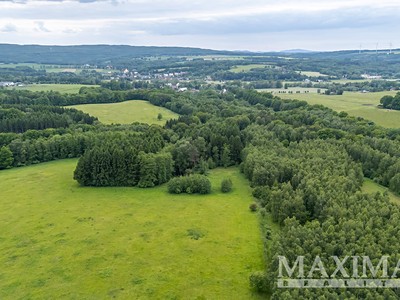 Prodej  lesa 33 624 m²
