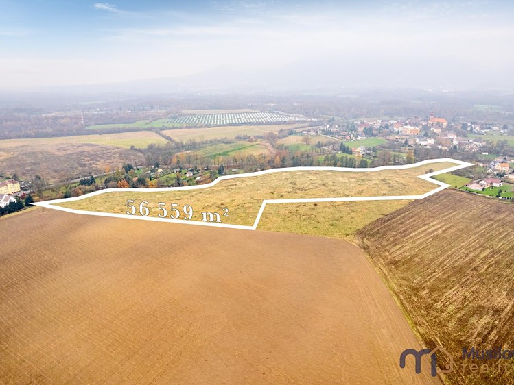 Grundstück zum Kauf, 56.559 m² (3 von 10)