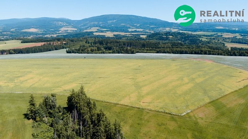 Prodej pole 40000 m² – fotografie 3