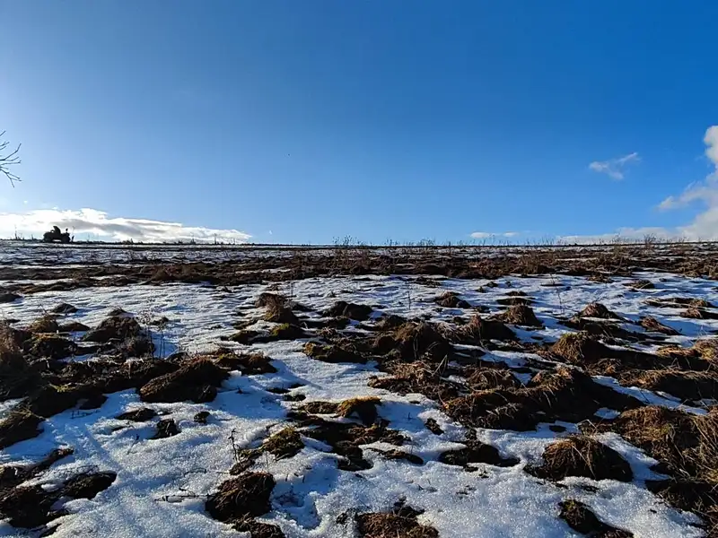 Prodej louky 3998 m², Rudník – náhled fotky 3