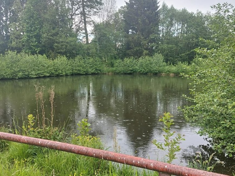 Комерційне приміщення на продаж, 520 м² (5 з 26)