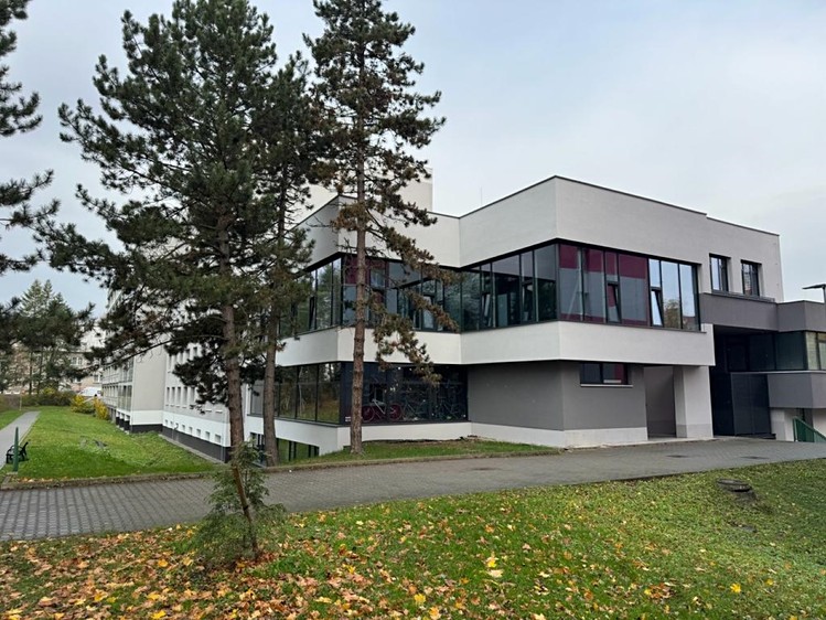 Комерційне приміщення в оренду, 263 м² (3 з 10)