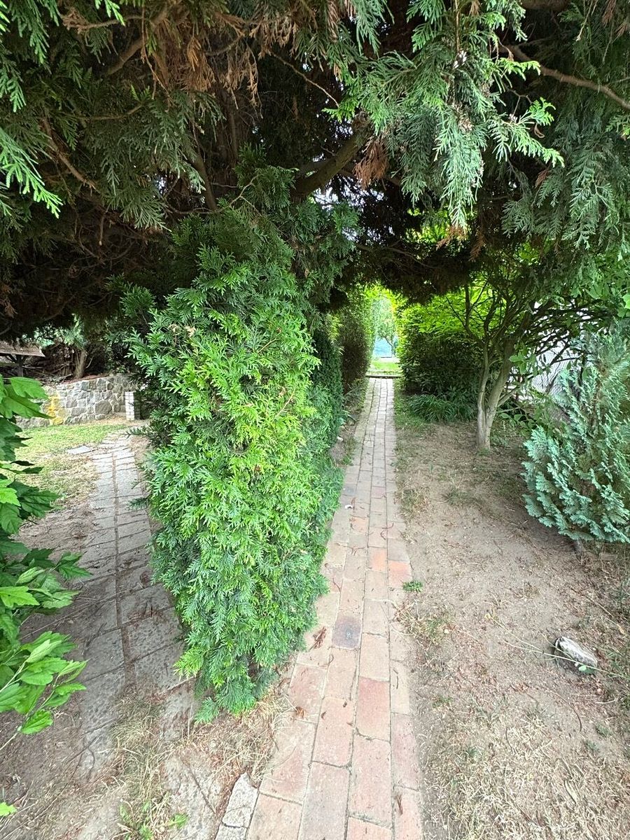 Prodej chaty 15 m², pozemek 437 m² – fotografie 3
