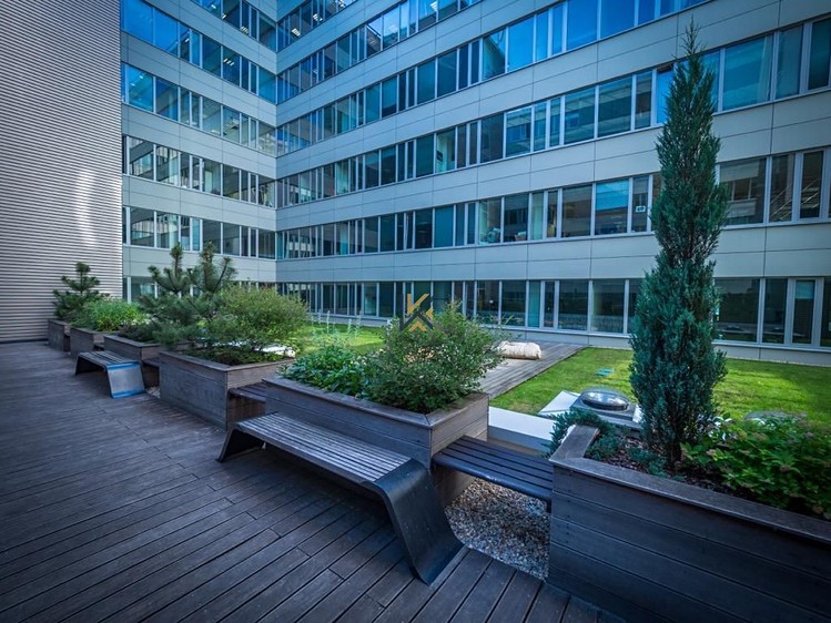 Комерційне приміщення в оренду, 2 870 м² (5 з 9)