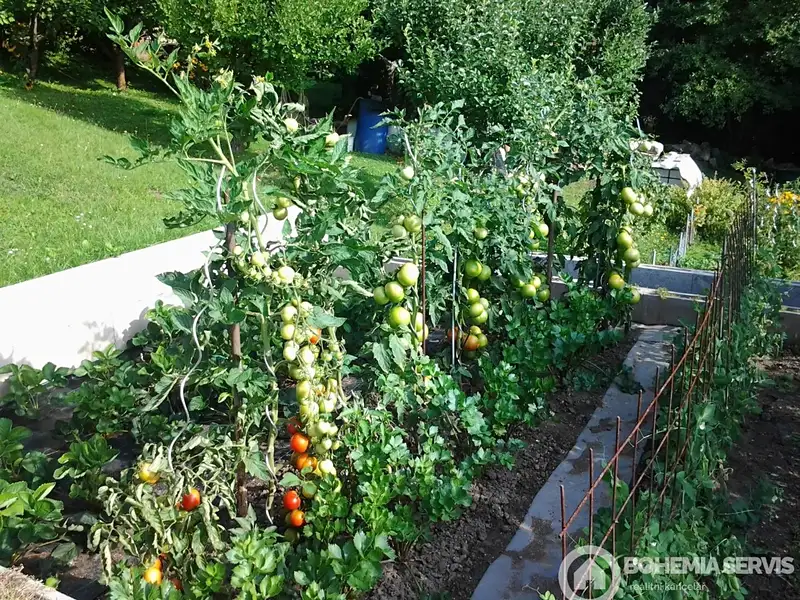 Prodej chaty 25 m², pozemek 572 m², Písek – náhled fotky 3