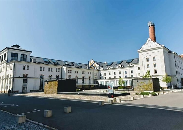 Комерційне приміщення в оренду, 270 м² (7 з 7)