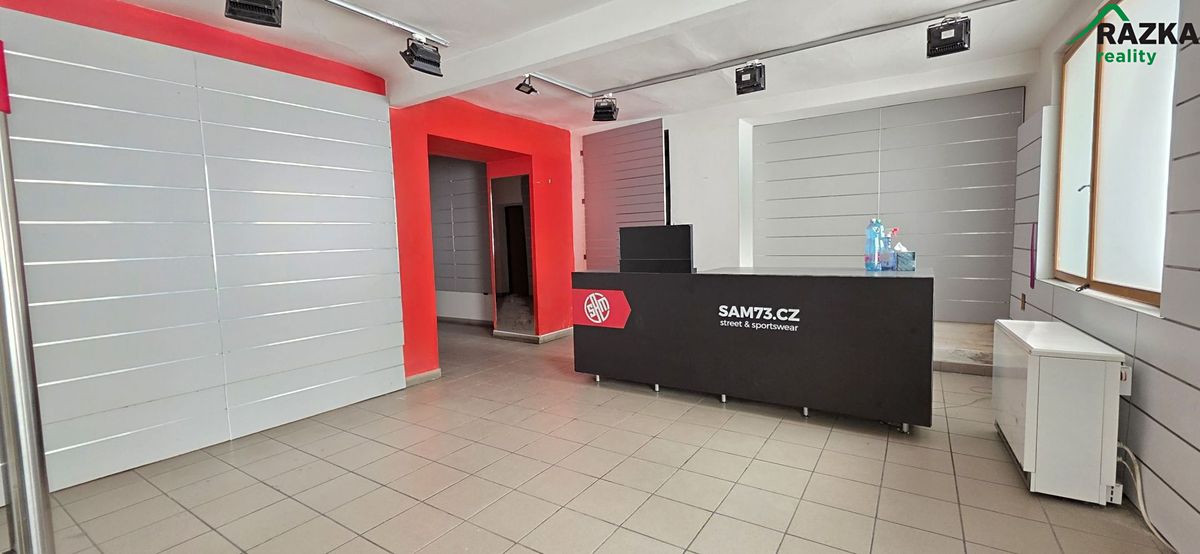 Prodej rodinného domu 330 m², pozemek 512 m² – fotografie 3