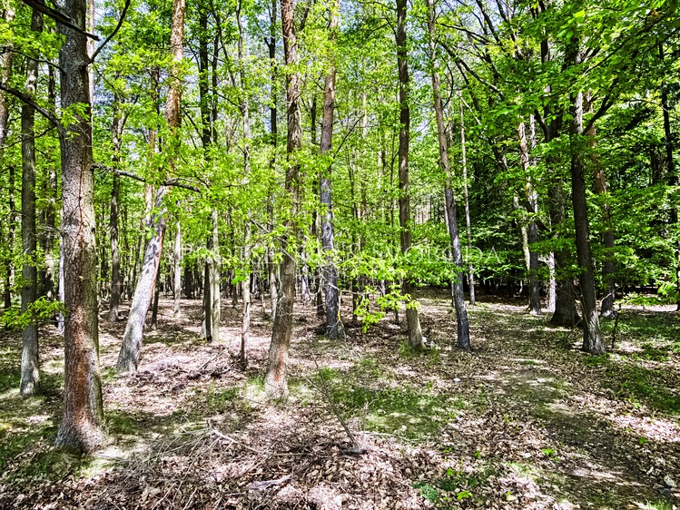 Комерційне приміщення на продаж, 900 м² (26 з 31)