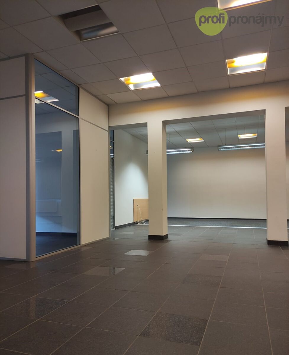 Pronájem kanceláře 171 m² – fotografie 3