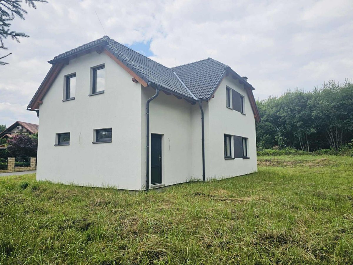 Pronájem rodinného domu 183 m², pozemek 1005 m² – fotografie 3