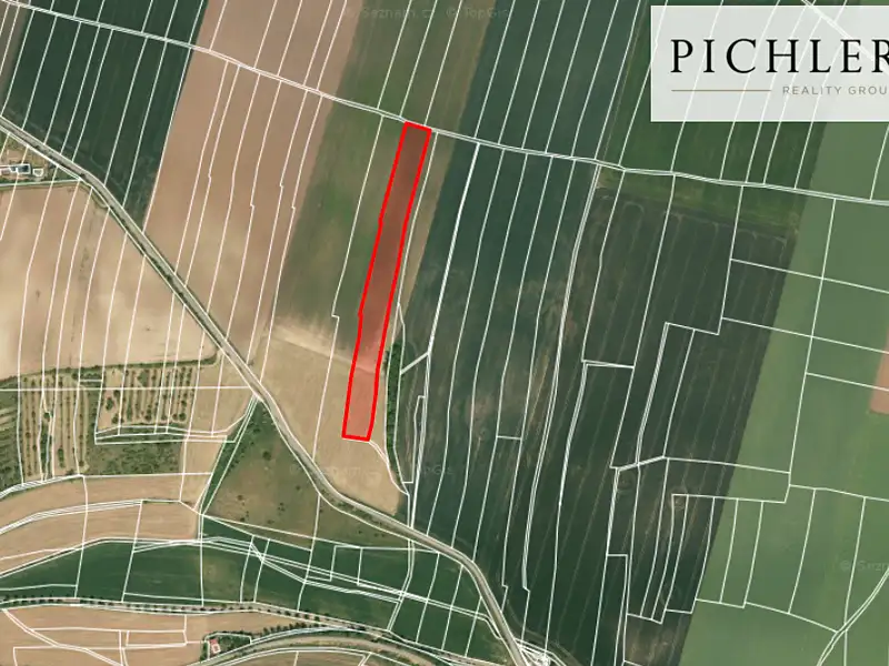 Prodej pole 12454 m², Svrkyně – náhled fotky 1