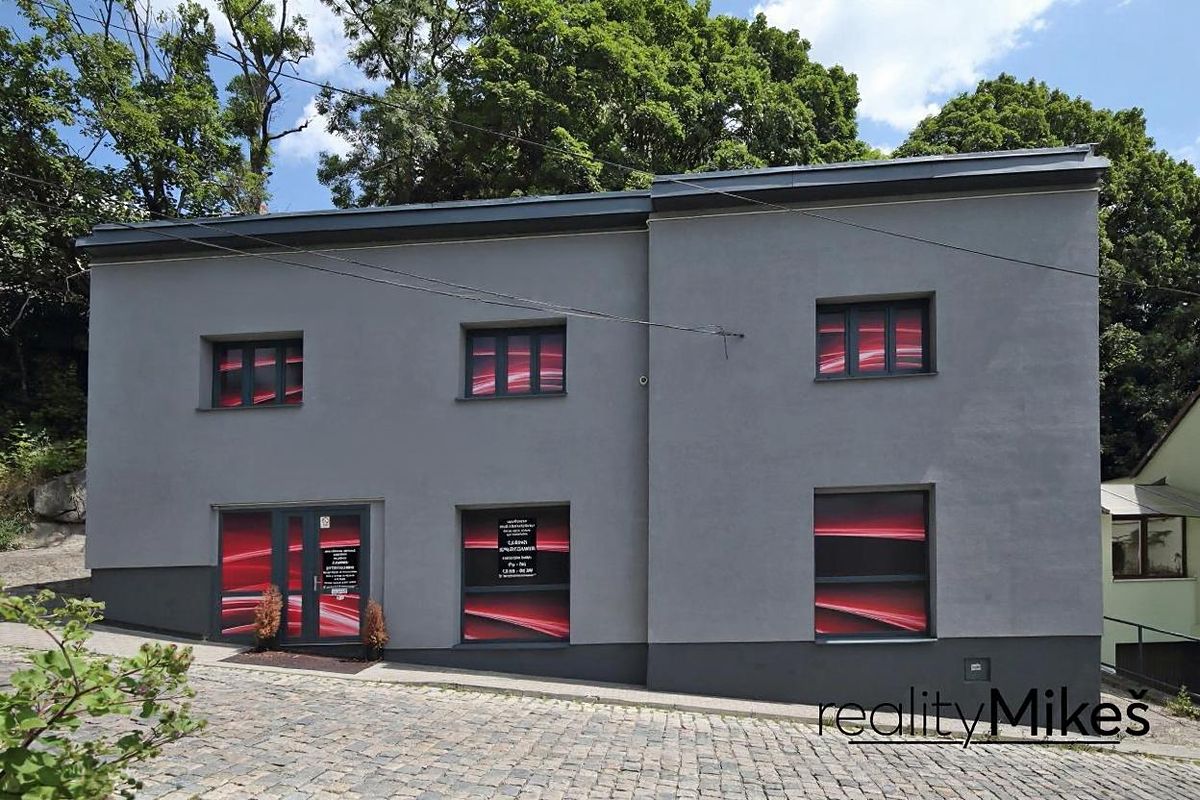 Pronájem obchodního prostoru 351 m²