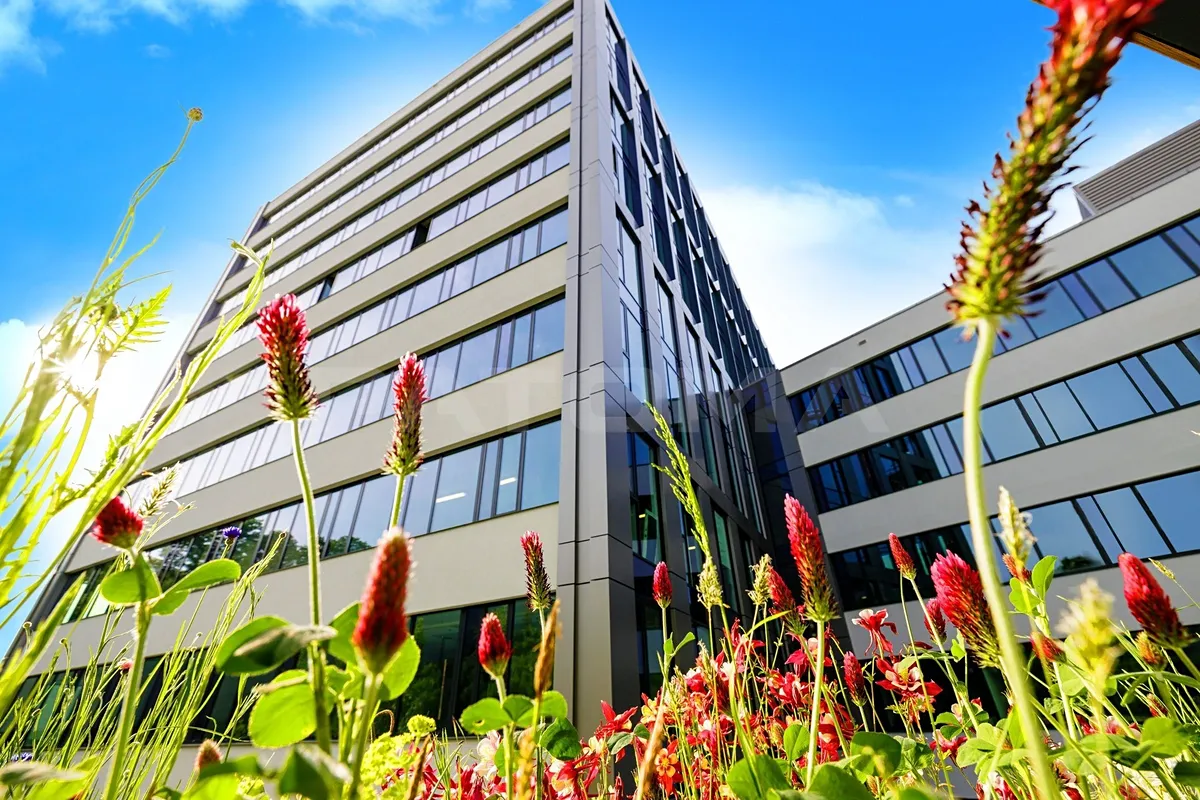 Pronájem kanceláře 1494 m²