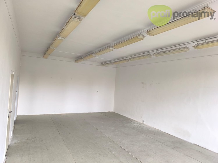 Gewerbefläche zur Miete, 39 m² (3 von 8)