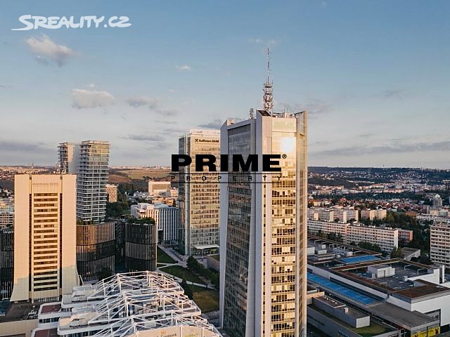 Pronájem kanceláře 266 m² – pohled 5