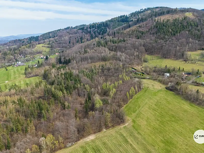Prodej lesa 20736 m², Vyšní Lhoty – náhled fotky 2