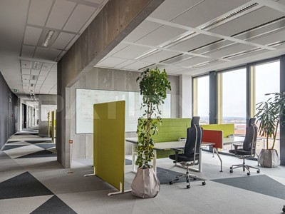 Gewerbefläche zur Miete, 564 m² (2 von 12)