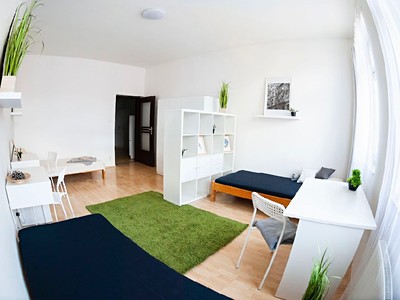 Pronájem bytu 1+1 35 m²