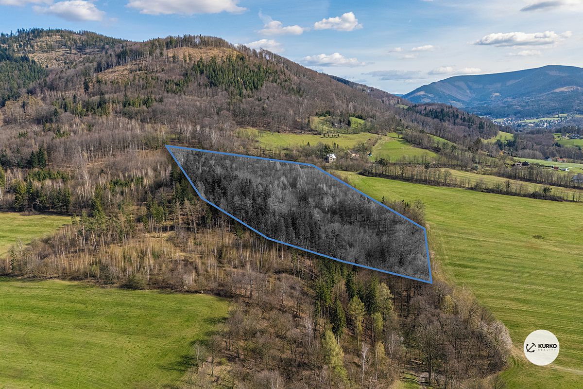 Prodej lesa 20736 m², Vyšní Lhoty – fotka 1 z 3