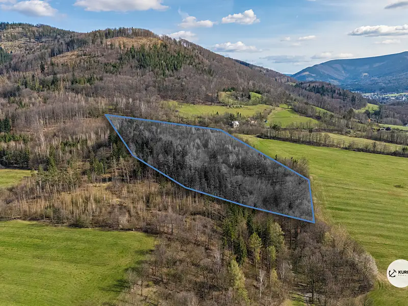 Prodej lesa 20736 m², Vyšní Lhoty – náhled fotky 1