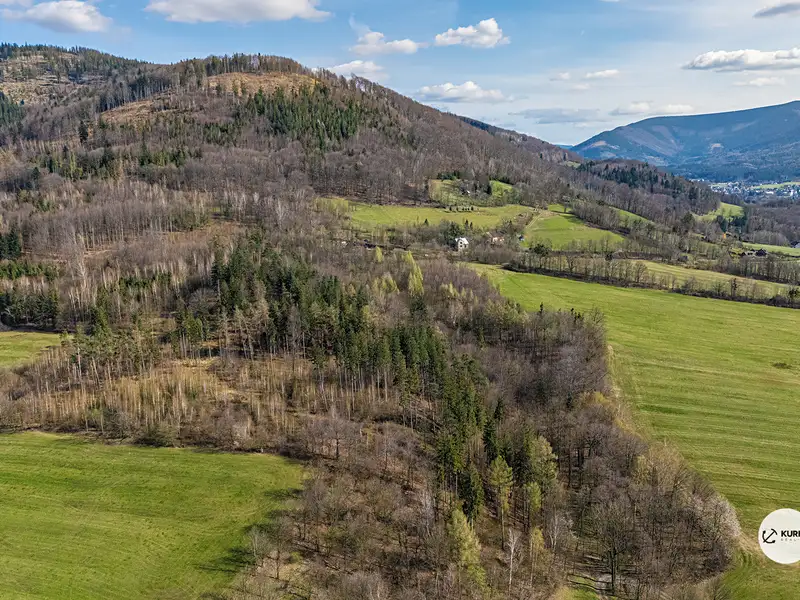 Prodej lesa 20736 m², Vyšní Lhoty – náhled fotky 3