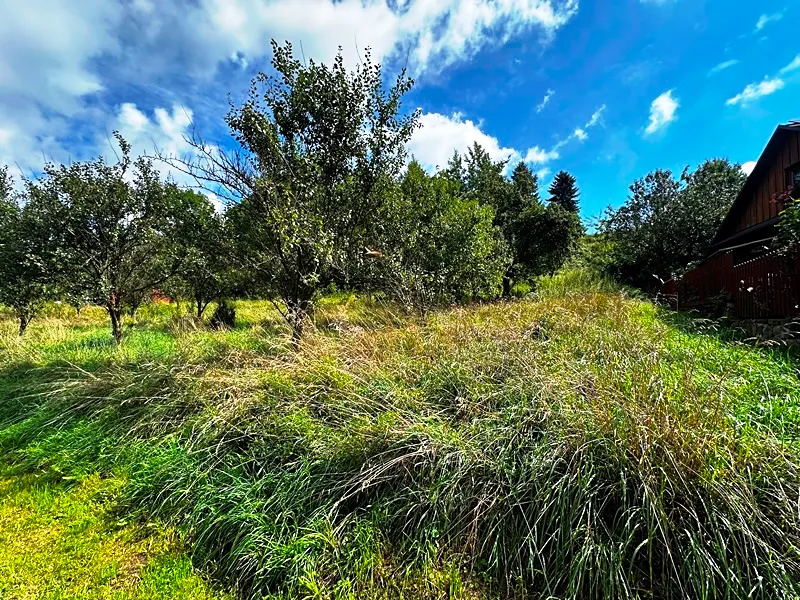 Fotka 7 z 16