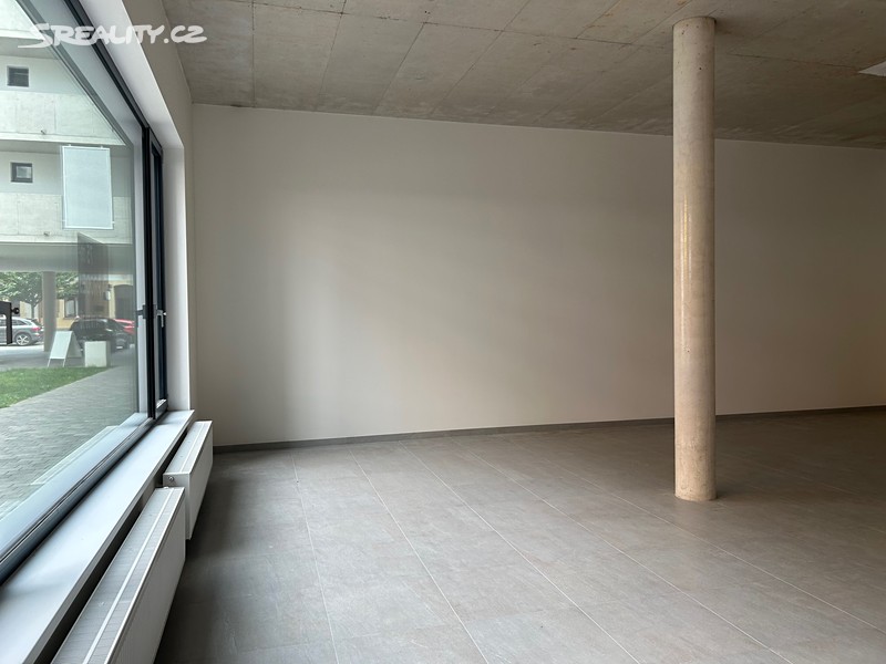 Prodej obchodního prostoru 103 m² – pohled 3