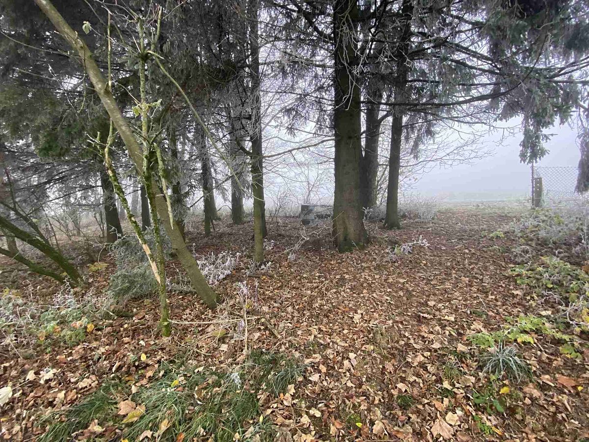 Prodej stavebního pozemku 2192 m² – fotografie 2