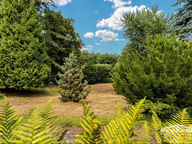 Prodej komerčního prostoru, 1 400 m² (29 z 39)