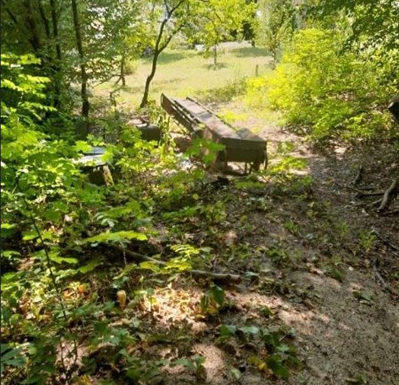 Grundstück zum Kauf, 233 m² (1 von 3)