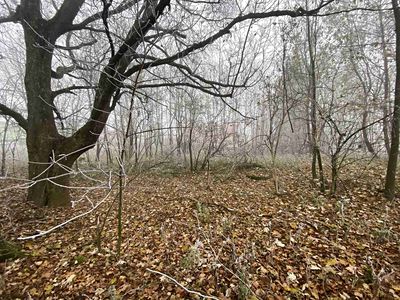 Prodej stavebního pozemku 2192 m²