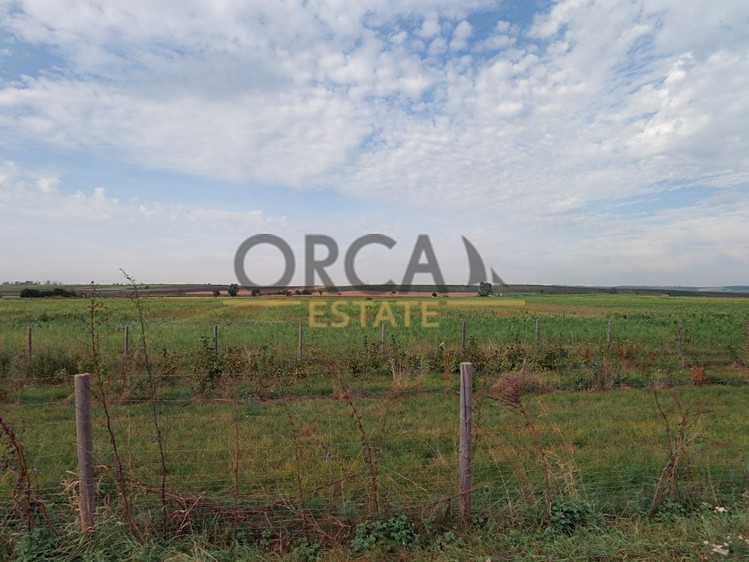 Ostatní