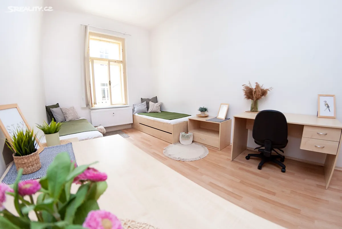 Pronájem bytu pokoje 45 m², Brno