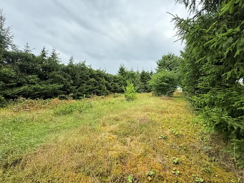 Prodej stavebního pozemku 973 m², Staré Sedliště – náhled fotky 3