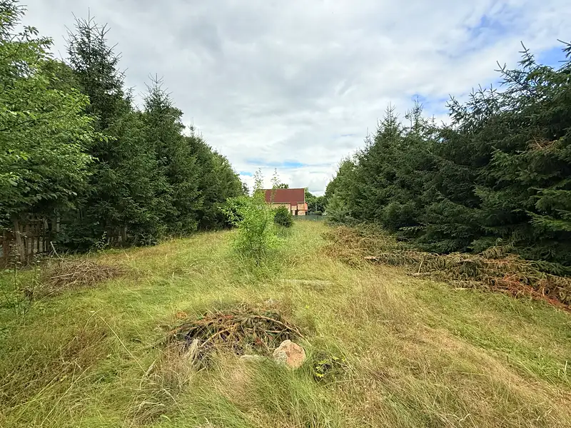 Prodej stavebního pozemku 973 m², Staré Sedliště – náhled fotky 2