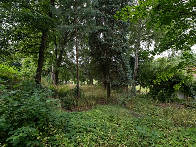 Prodej  pozemku 2 145 m² — photo 4