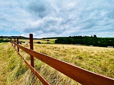 Prodej  pole 98 130 m²