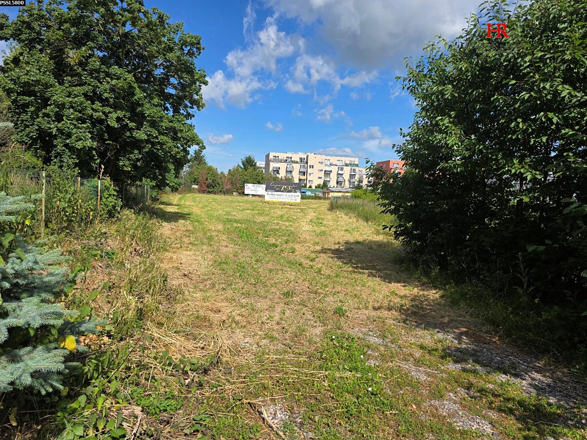 Pronájem pozemku 4078 m² – fotografie 5