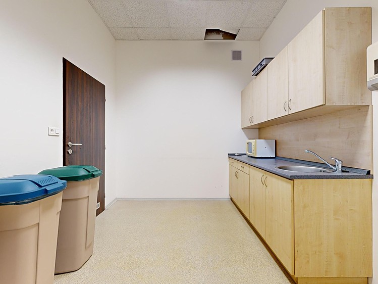 Pronájem komerčního prostoru, 338 m² (23 z 29)