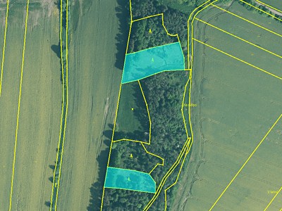 Prodej  lesa 5 674 m²