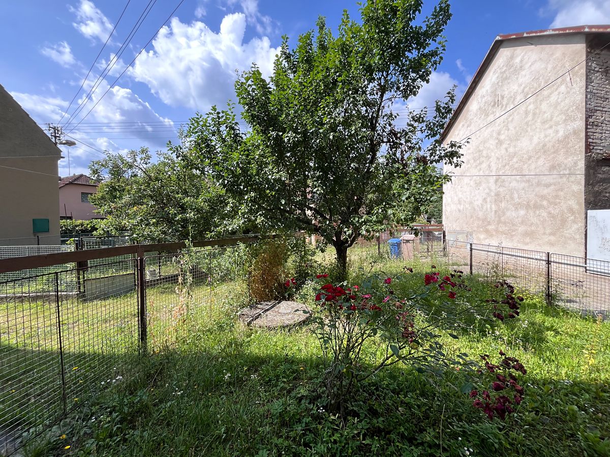 Prodej rodinného domu 115 m², pozemek 248 m² – fotografie 5