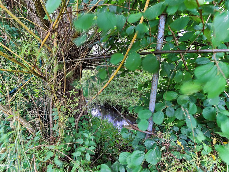 Grundstück zum Kauf, 1.570 m² (23 von 29)