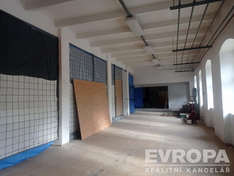 Gewerbefläche zur Miete, 13 m² (5 von 6)