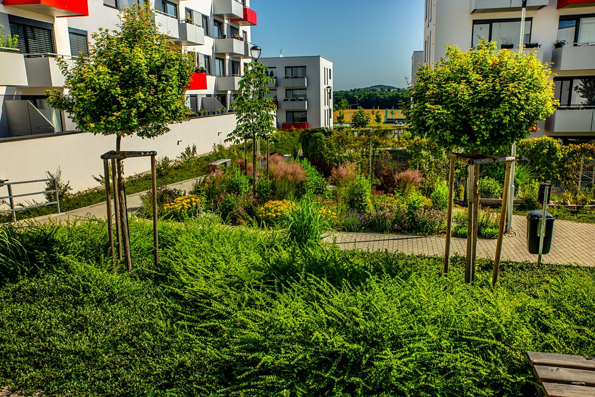 Prodej bytu 2+kk 54 m² – fotografie 5