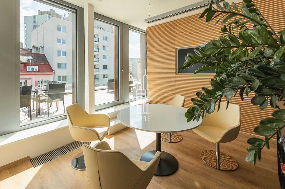 Pronájem kanceláře 536 m² – fotografie 2