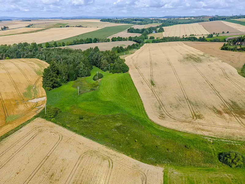 Prodej rybníku (vodní plochy) 5179 m², Želetava – náhled fotky 3